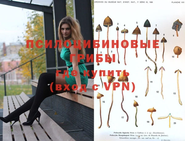 героин Белокуриха